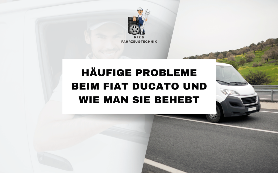 Reber Autoteile Ihr Online-Shop für FIAT DUCATO Spiegel.